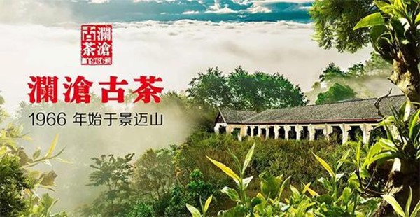 瀾滄古茶定位,瀾滄古茶市場(chǎng)定位,瀾滄古茶