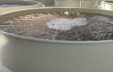 工廠化水產(chǎn)養(yǎng)殖設(shè)備品牌定位案例分析